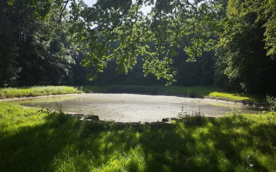 Ze staré hasičské nádrže v Hrádku nad Nisou v Dolním Sedle se stane biotop