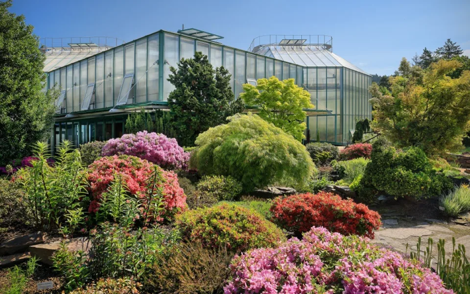 Botanická zahrada slaví v pátek 130. narozeniny. Je nejstarší botanickou v ČR