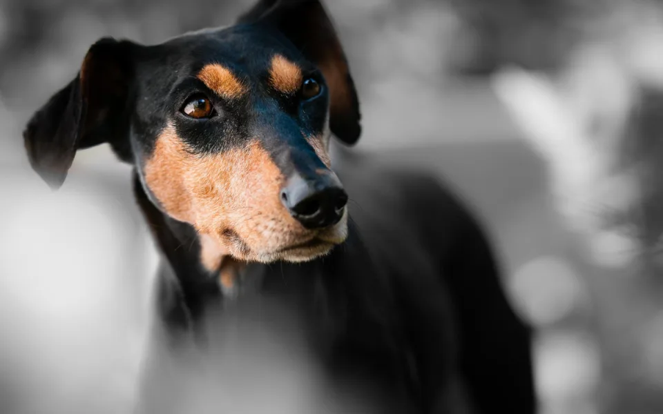 Ilustrační foto.