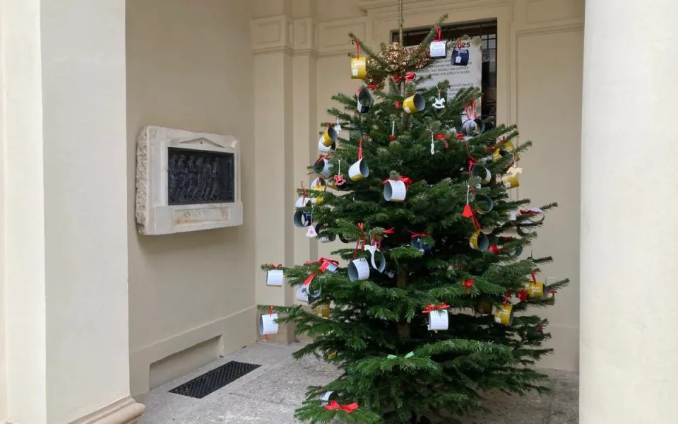 Vánoční strom přání Liberce už není na nádvoří radnice, ale Paláce Liebieg
