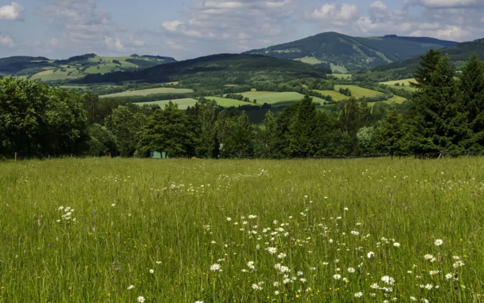Krkonošský národní park nakoupil 13 hektarů pozemků za bezmála osm milionů