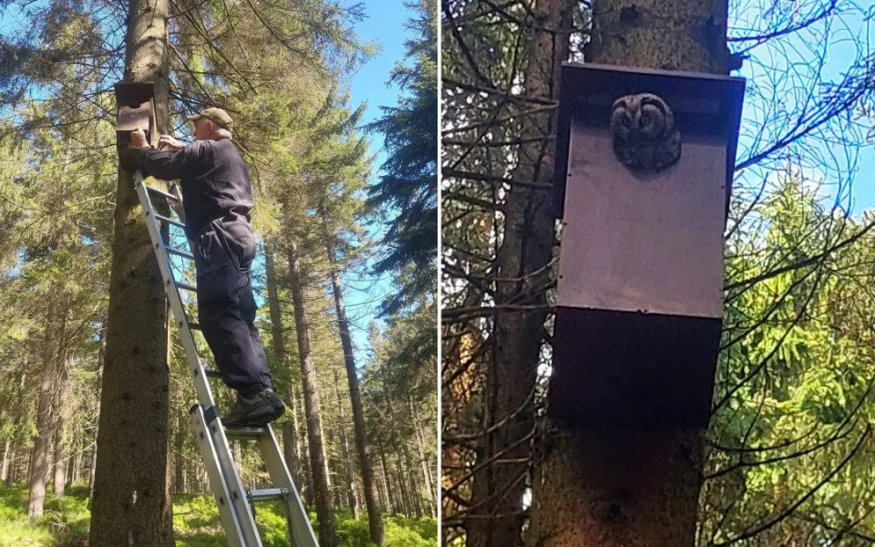O instalované budky se každoročně pečuje a prochází údržbou
