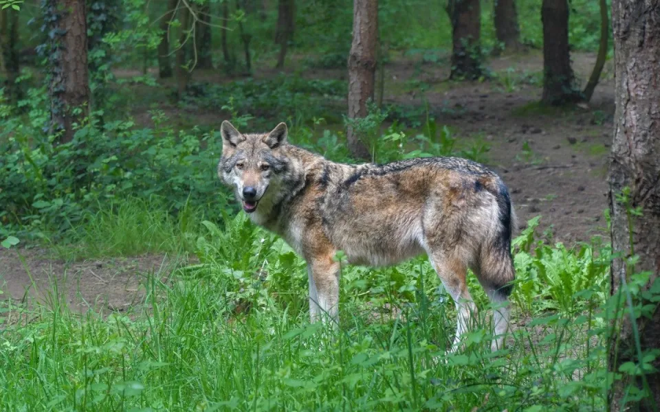 Ilustrační foto.