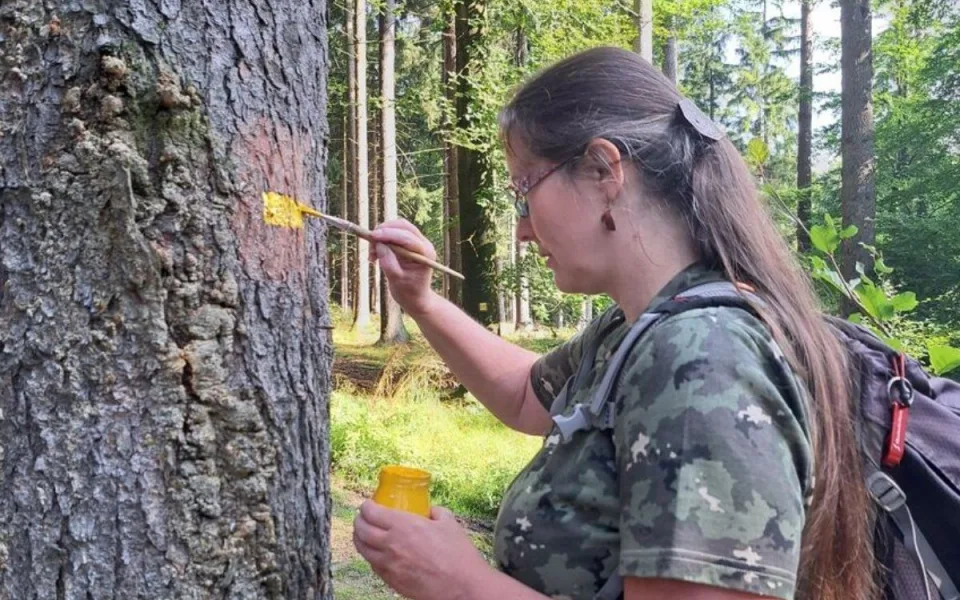 Značkaři obnovují turistické značení v Liberci. Město jim přispívá
