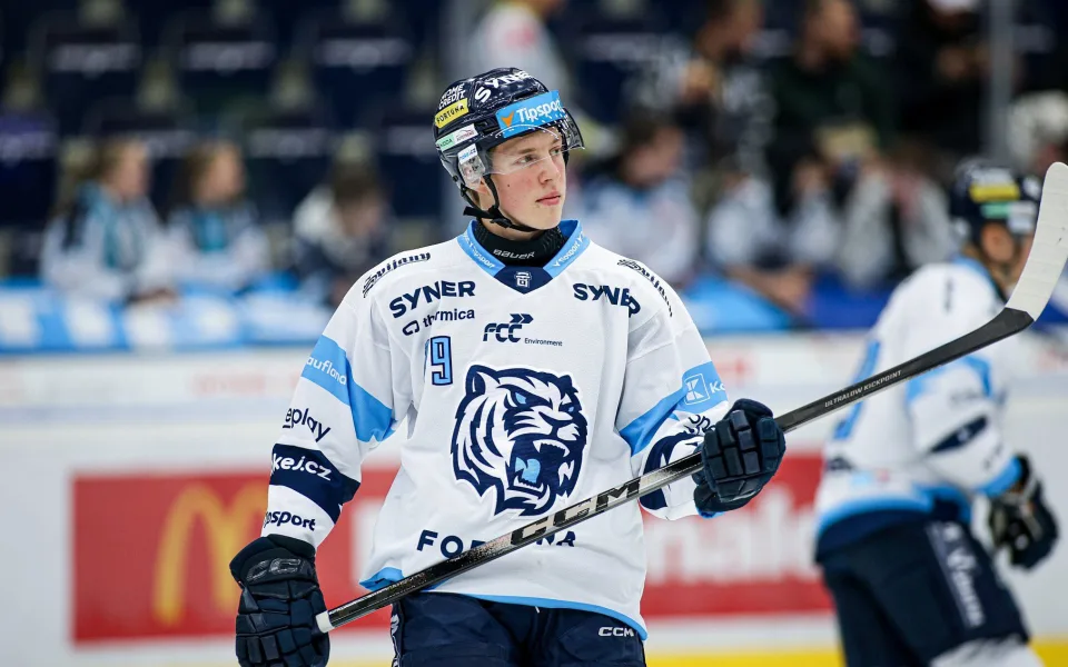 Kemp s českou elitou? Je to pro mě výborné srovnání, věří Tygr Galvas