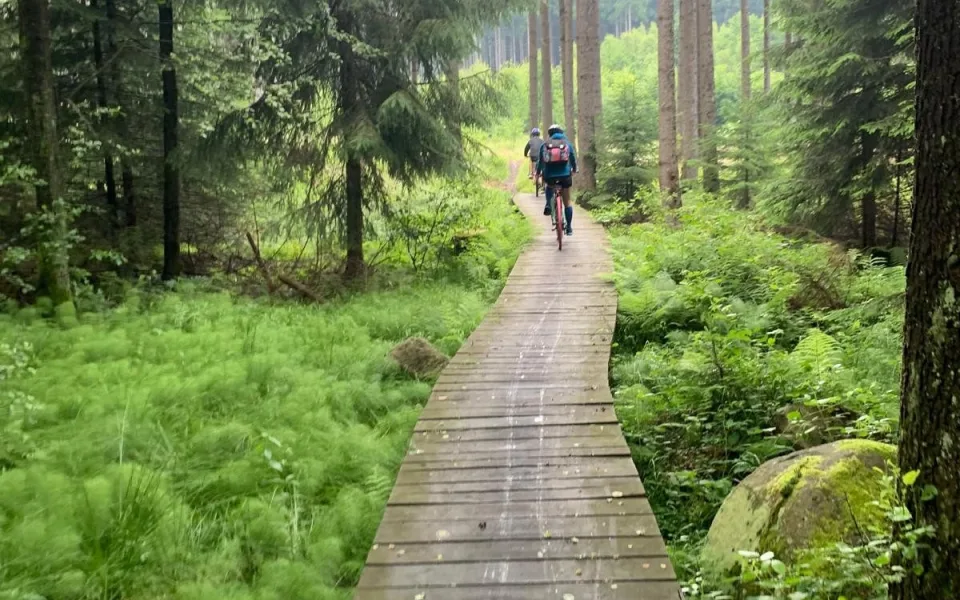 Nový dotační program Libereckého kraje. Půl milionem podpoří singltreky a bikeparky