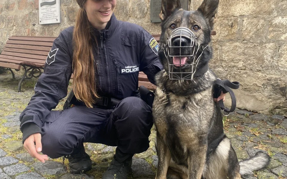 Důležitá posila pro českolipskou městskou policii: fenka Calimera a její dvounohá psovodka