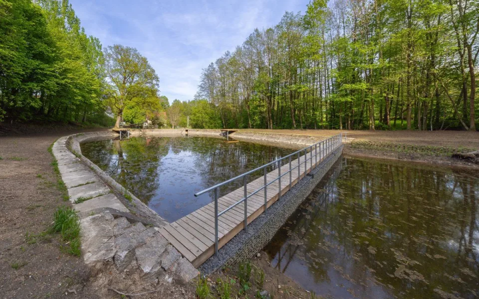 Rybník v Dolním Sedle zkrásněl. Po revitalizaci nabízí i koupání