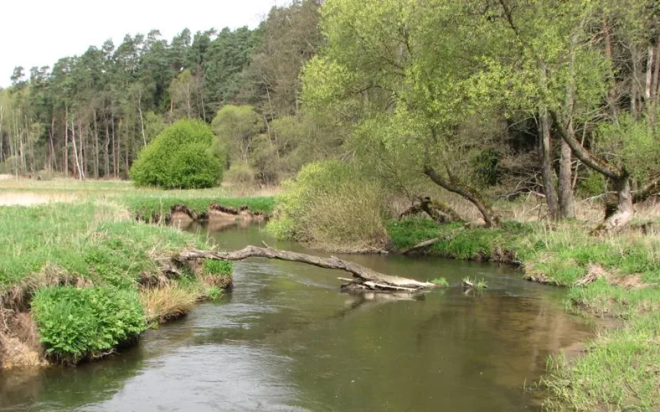 Na Českolipsku byla vyhlášena nová přírodní rezervace Meandry Ploučnice a Svitavky