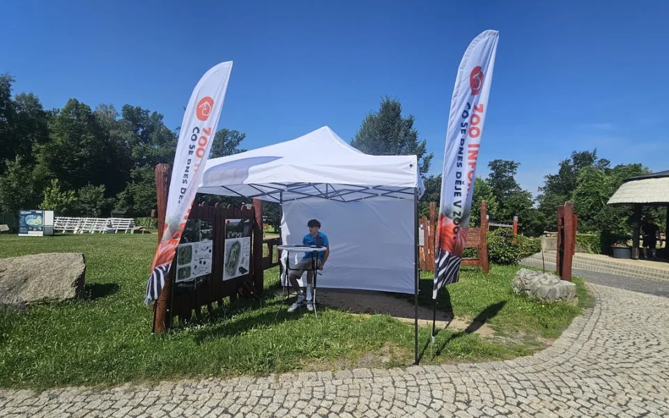 Jóga pro pandy i komentovaná setkání u zvířat. Zoo má program na prázdniny