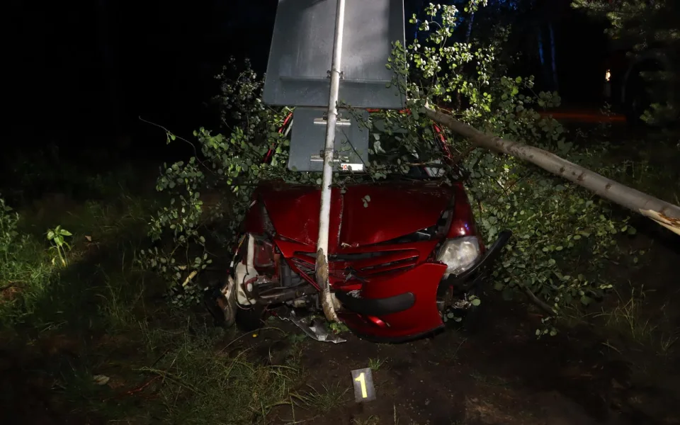 Se dvěma promile zlikvidoval strom i značku. Od nehody odešel po svých