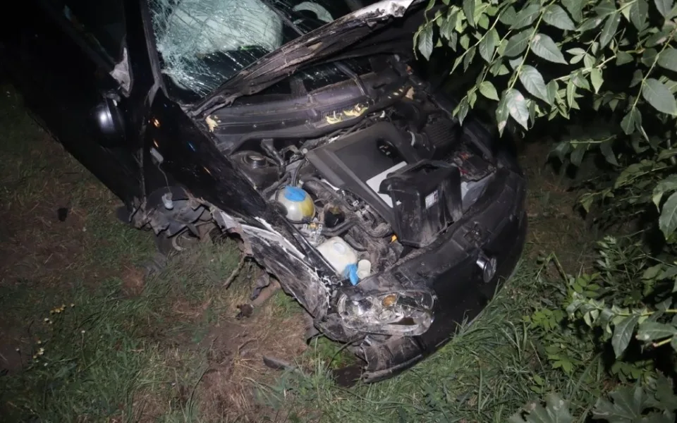 Chtěla za jízdy zapojit kabel nabíječky, skončila ve stromě. Spolujezdkyně putovala do nemocnice