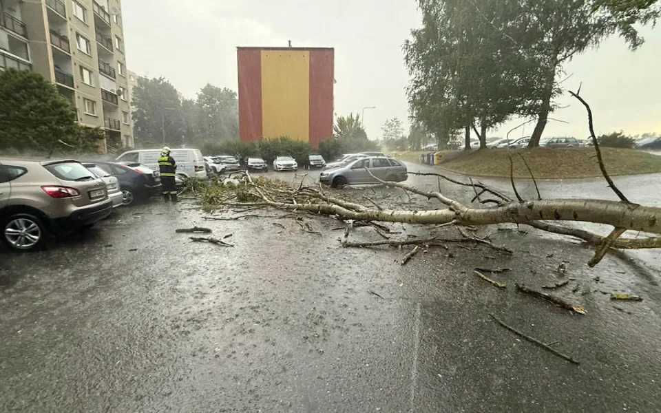 Bouřky v Libereckém kraji vyvracely stromy, hasiči měli přes 140 výjezdů